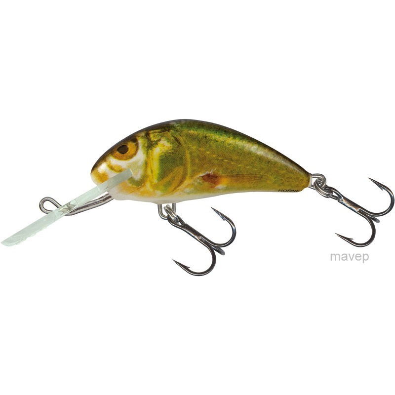 Wobbler Hornet 6F - Golden shiner minnow