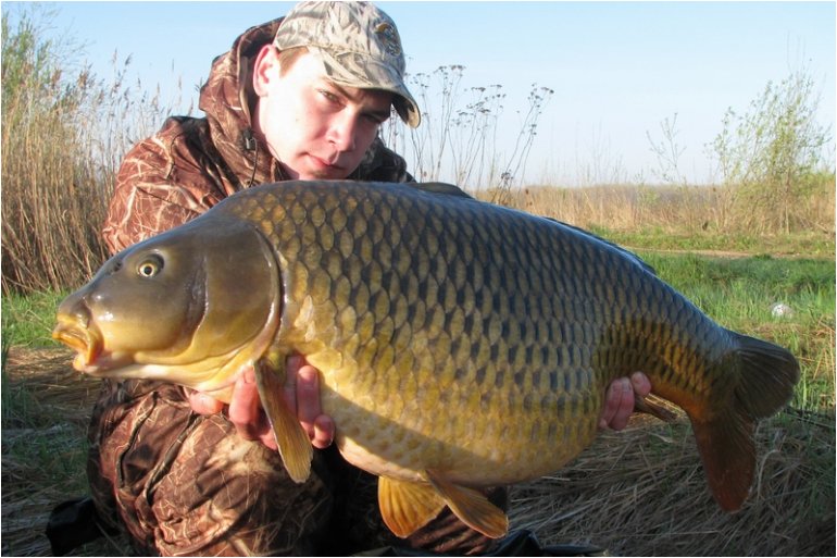 Carpkillerův pekelný rozjezd