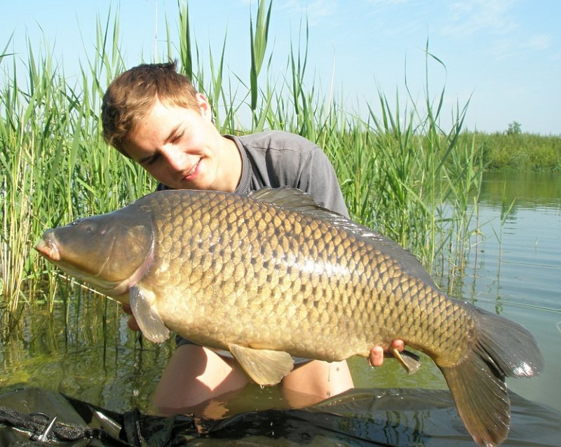 Mládě a jeho květnová "plavba" za kapry