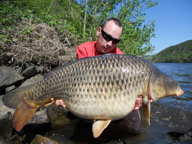 Carpkillerova nepřekonatelná Labská série pokračuje...