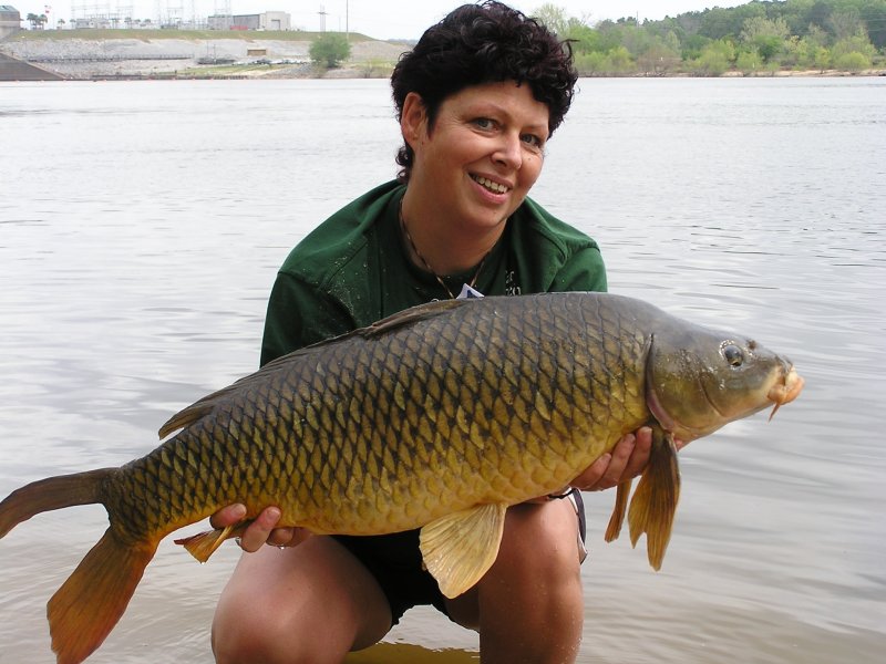 Noční Můra boduje i za velkou louží