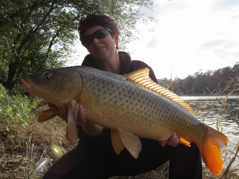 Carps Freedom Team se nevzdává